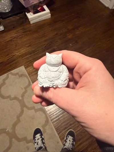 https://makerworld.bblmw.com/makerworld/comment/20260129/3698639535/04b10c2a8afae650.jpg
