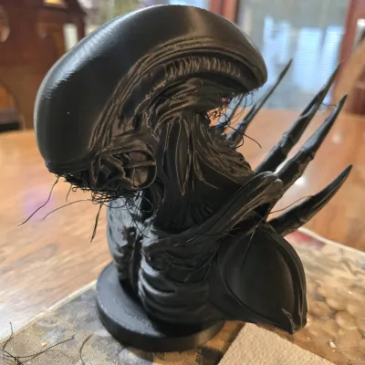 https://makerworld.bblmw.com/makerworld/comment/20260129/3861208815/564e3995bf3c06cf.jpg