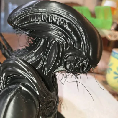 https://makerworld.bblmw.com/makerworld/comment/20260129/3861208815/b465a99b365ab275.jpg