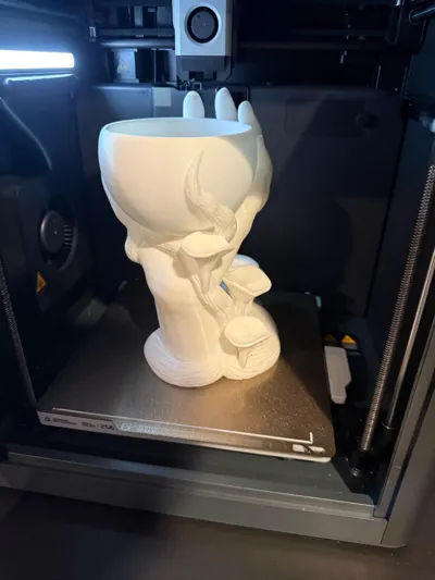 https://makerworld.bblmw.com/makerworld/comment/20260129/393723903/aa2c0e3d5701696d.jpg