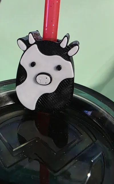 https://makerworld.bblmw.com/makerworld/comment/20260129/3970772832/7eb6cce41a25e334.jpg