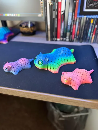 https://makerworld.bblmw.com/makerworld/comment/20260129/594041713/335bfbb1baa7c496.jpg