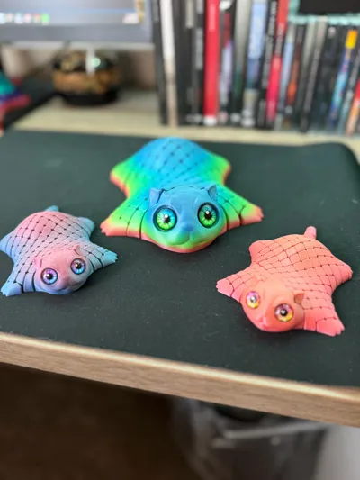 https://makerworld.bblmw.com/makerworld/comment/20260129/594041713/7bbf7c245f757418.jpg