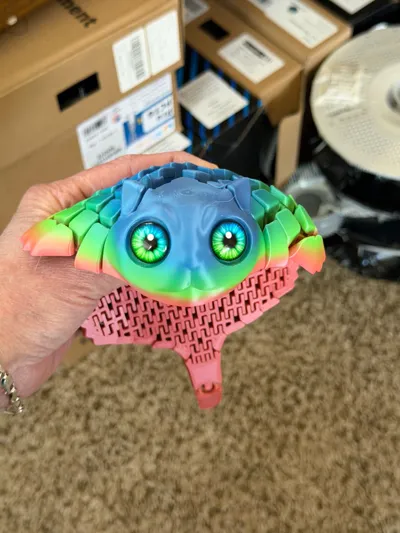https://makerworld.bblmw.com/makerworld/comment/20260129/594041713/a92b603adbc34bf1.jpg