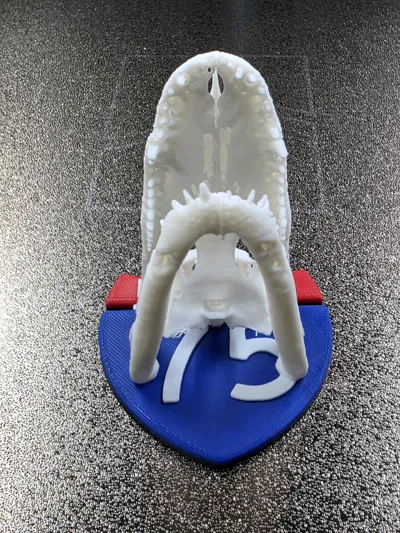 https://makerworld.bblmw.com/makerworld/comment/20260129/65007324/071a6792b1864d9d.jpg
