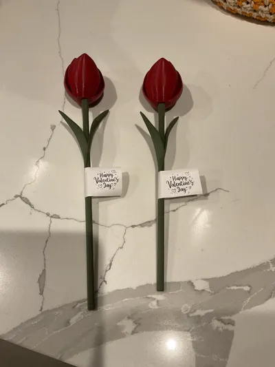 https://makerworld.bblmw.com/makerworld/comment/20260129/723222954/6613697fe185dc42.jpg