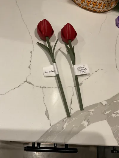 https://makerworld.bblmw.com/makerworld/comment/20260129/723222954/8fa4380490ea61ed.jpg