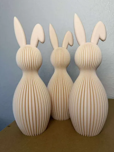 https://makerworld.bblmw.com/makerworld/comment/20260129/786413671/f979c32b13470b72.jpg