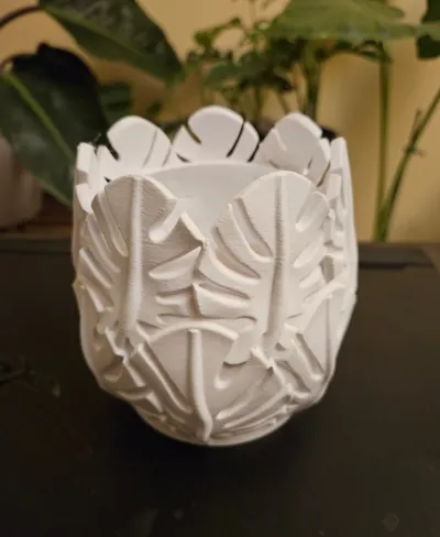 https://makerworld.bblmw.com/makerworld/comment/20260129/823967340/6c28a81a9322a0c9.jpg