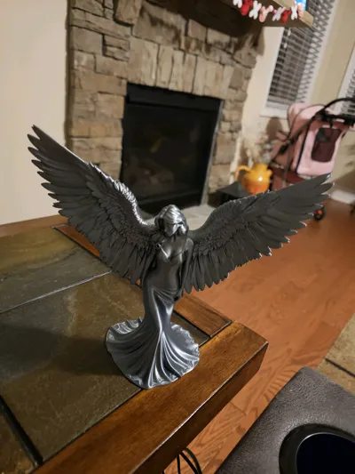 https://makerworld.bblmw.com/makerworld/comment/20260129/848886697/62d8430882c5b534.jpg