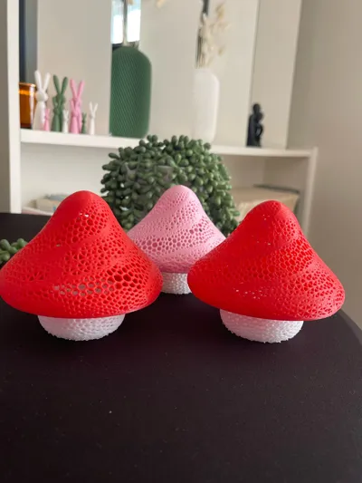 https://makerworld.bblmw.com/makerworld/comment/20260130/1470896306/29089eb79d592e30.jpg
