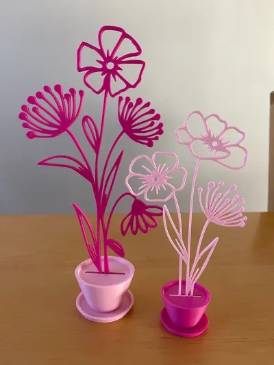 https://makerworld.bblmw.com/makerworld/comment/20260130/1470896306/2f2db67dcf91b449.jpg