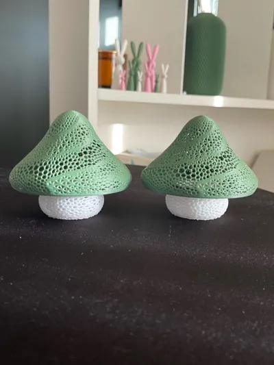 https://makerworld.bblmw.com/makerworld/comment/20260130/1470896306/924387e95edc88f6.jpg