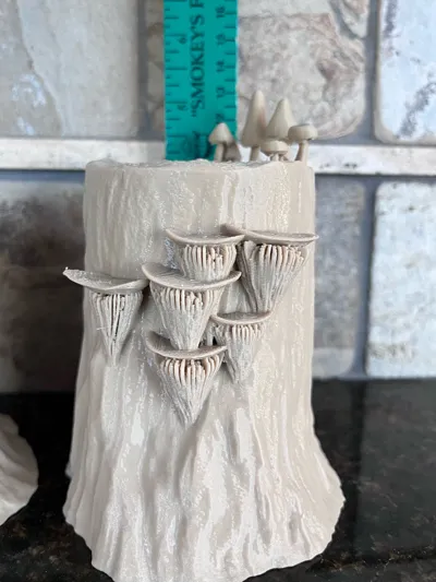https://makerworld.bblmw.com/makerworld/comment/20260130/1757475839/2eee48c041c5bc55.jpg