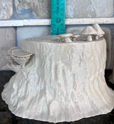 https://makerworld.bblmw.com/makerworld/comment/20260130/1757475839/5799691741049bde.jpg