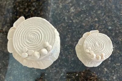 https://makerworld.bblmw.com/makerworld/comment/20260130/1757475839/9f48f41e00626c6f.jpg