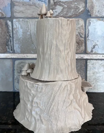 https://makerworld.bblmw.com/makerworld/comment/20260130/1757475839/a4bcd569f84ee2fb.jpg