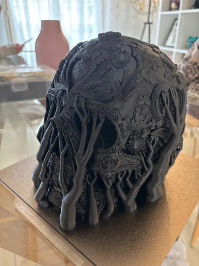https://makerworld.bblmw.com/makerworld/comment/20260130/2034464771/adce90348f685182.jpg