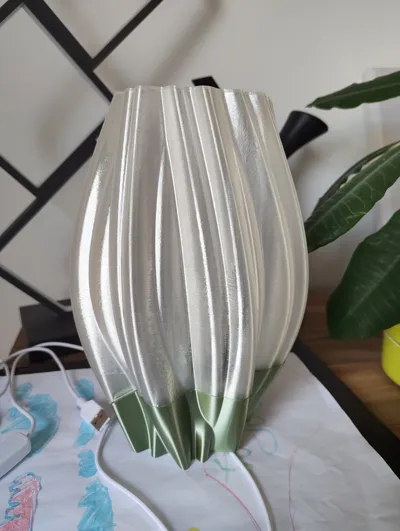 https://makerworld.bblmw.com/makerworld/comment/20260130/2097723254/6c4d05c581bb4983.jpg