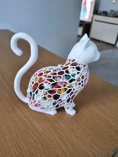 https://makerworld.bblmw.com/makerworld/comment/20260130/216989316/c73c2c7e711b553a.jpg