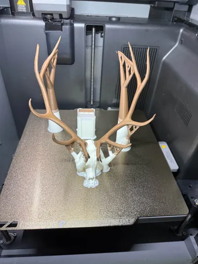 https://makerworld.bblmw.com/makerworld/comment/20260130/2359583707/154e94aaccaac29d.jpg