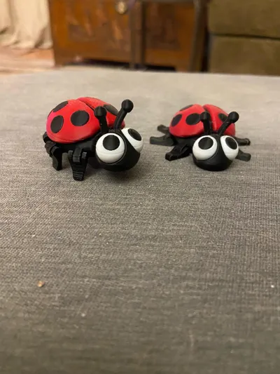 https://makerworld.bblmw.com/makerworld/comment/20260130/2374233785/c332087fb54005a6.jpg