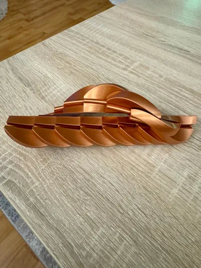 https://makerworld.bblmw.com/makerworld/comment/20260130/2696342964/3254c4f50cc69f1e.jpg