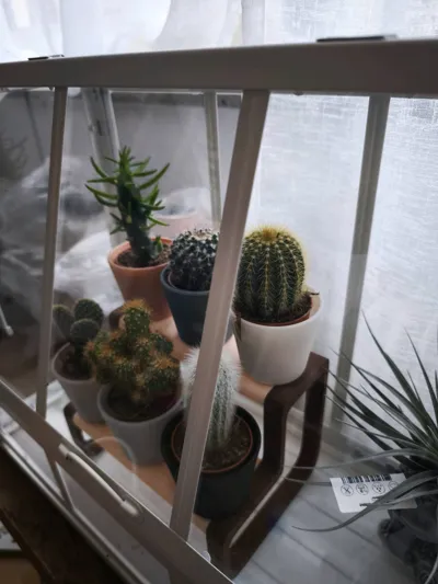 https://makerworld.bblmw.com/makerworld/comment/20260130/2750156902/6d780afe878a0101.jpg
