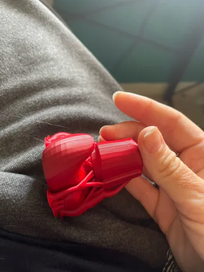 https://makerworld.bblmw.com/makerworld/comment/20260130/2809753806/71967d8418fcf554.jpg