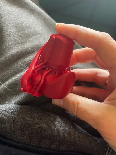 https://makerworld.bblmw.com/makerworld/comment/20260130/2809753806/91349bcbbd5ed97c.jpg