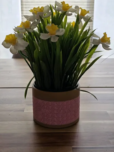 https://makerworld.bblmw.com/makerworld/comment/20260130/3086893642/593dbbd8ea6479e7.jpg