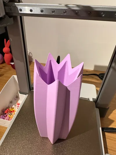 https://makerworld.bblmw.com/makerworld/comment/20260130/3213525319/9946a4d14659fcfb.jpg