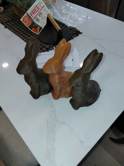 https://makerworld.bblmw.com/makerworld/comment/20260130/358715487/6448dd746de2dd4d.jpg