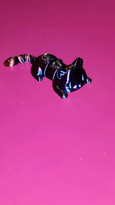 https://makerworld.bblmw.com/makerworld/comment/20260130/358785777/f17ea89dd13f7d1d.jpg