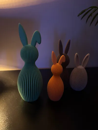 https://makerworld.bblmw.com/makerworld/comment/20260130/4164299159/6e4bb32cbff9d1e2.jpg