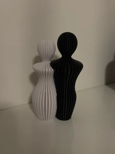 https://makerworld.bblmw.com/makerworld/comment/20260130/4164299159/9e5f6db858257cd3.jpg