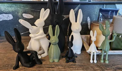 https://makerworld.bblmw.com/makerworld/comment/20260130/4172192704/5272aaffb5b20bcc.jpg