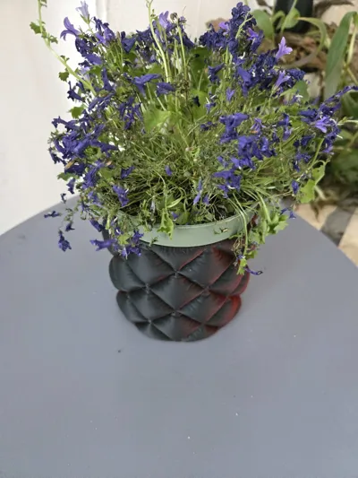 https://makerworld.bblmw.com/makerworld/comment/20260130/621103836/fae9afe2ee7fecb5.jpg