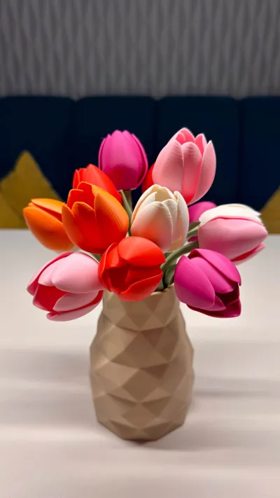 https://makerworld.bblmw.com/makerworld/comment/20260130/768103406/e23d84450e74b8e4.jpg