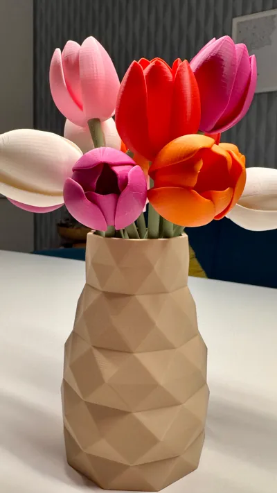https://makerworld.bblmw.com/makerworld/comment/20260130/768103406/f722523367af21fb.jpg