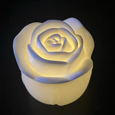 https://makerworld.bblmw.com/makerworld/comment/20260130/957709382/a1b02c3933bee047.jpg