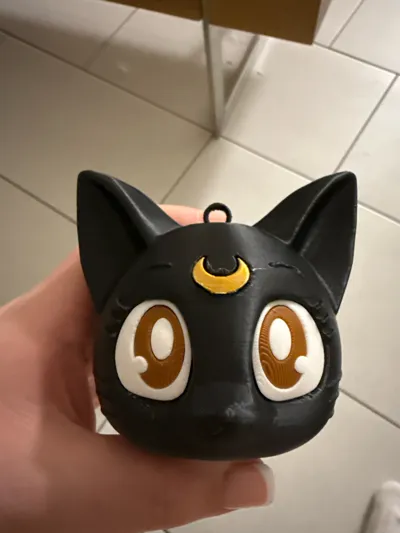 https://makerworld.bblmw.com/makerworld/comment/20260131/1035981725/3c0b4333911da147.jpg