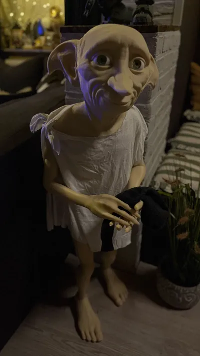 https://makerworld.bblmw.com/makerworld/comment/20260131/1553145100/9519f8c759c7b1fe.jpg
