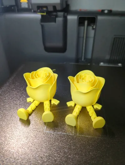 https://makerworld.bblmw.com/makerworld/comment/20260131/1720136897/7de802381bdb38fe.jpg