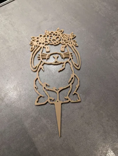 https://makerworld.bblmw.com/makerworld/comment/20260131/2228428790/e44cffc932ffa7ce.jpg