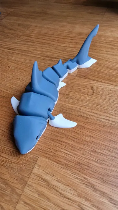 https://makerworld.bblmw.com/makerworld/comment/20260131/2459525423/19865fbe8158b5b3.jpg