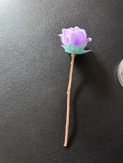 https://makerworld.bblmw.com/makerworld/comment/20260131/3353311087/1b69764d59fafab5.jpg
