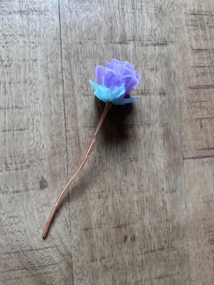 https://makerworld.bblmw.com/makerworld/comment/20260131/3353311087/e591215583cd32ac.jpg