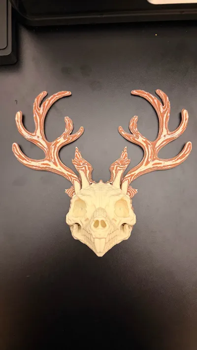 https://makerworld.bblmw.com/makerworld/comment/20260131/3368460526/e8bfb7e366d0ac84.jpg