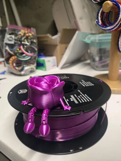 https://makerworld.bblmw.com/makerworld/comment/20260131/3495045224/59797b06dd0a09e9.jpg